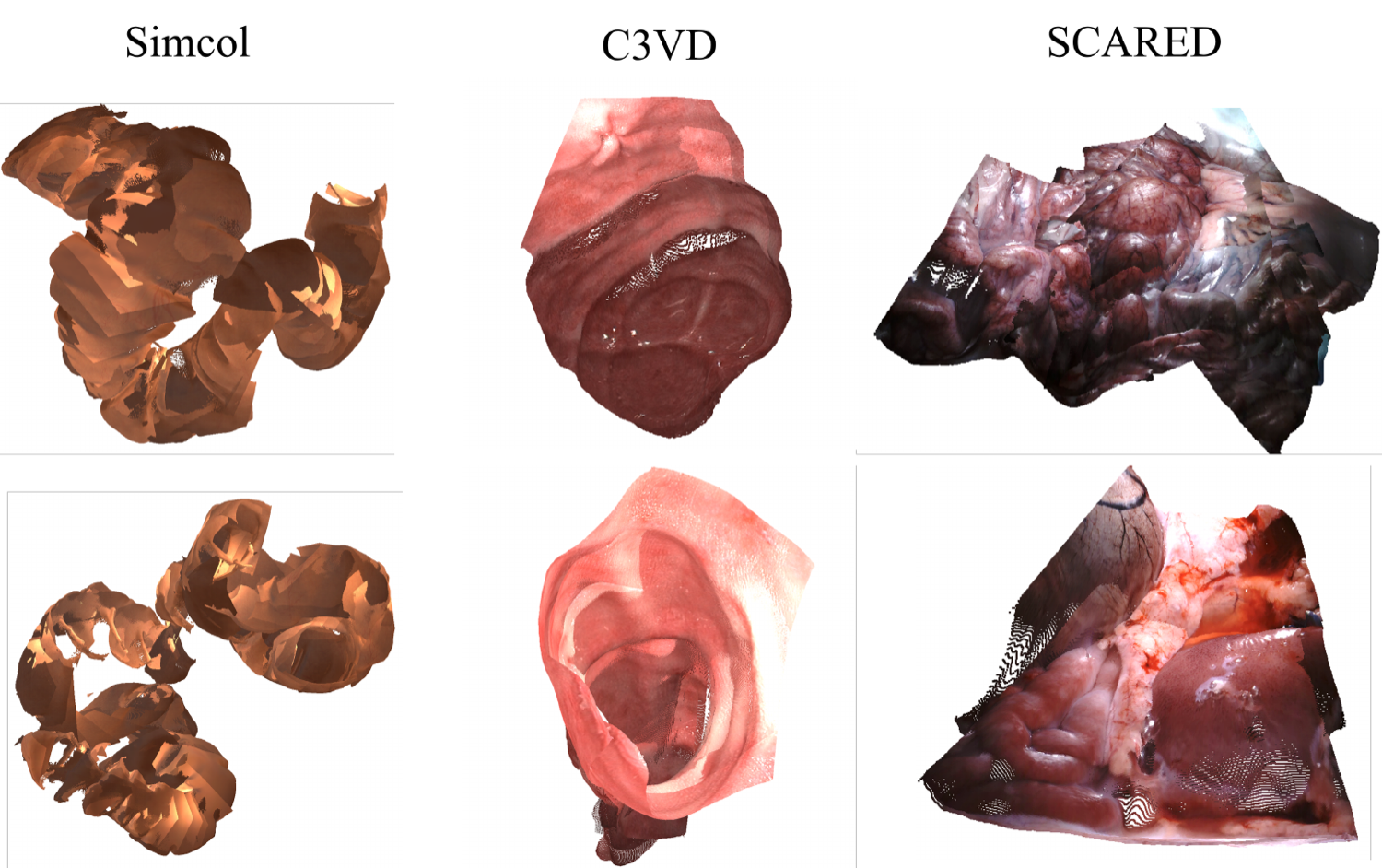 SurgMASt3R-SLAM surgical scene reconstruction